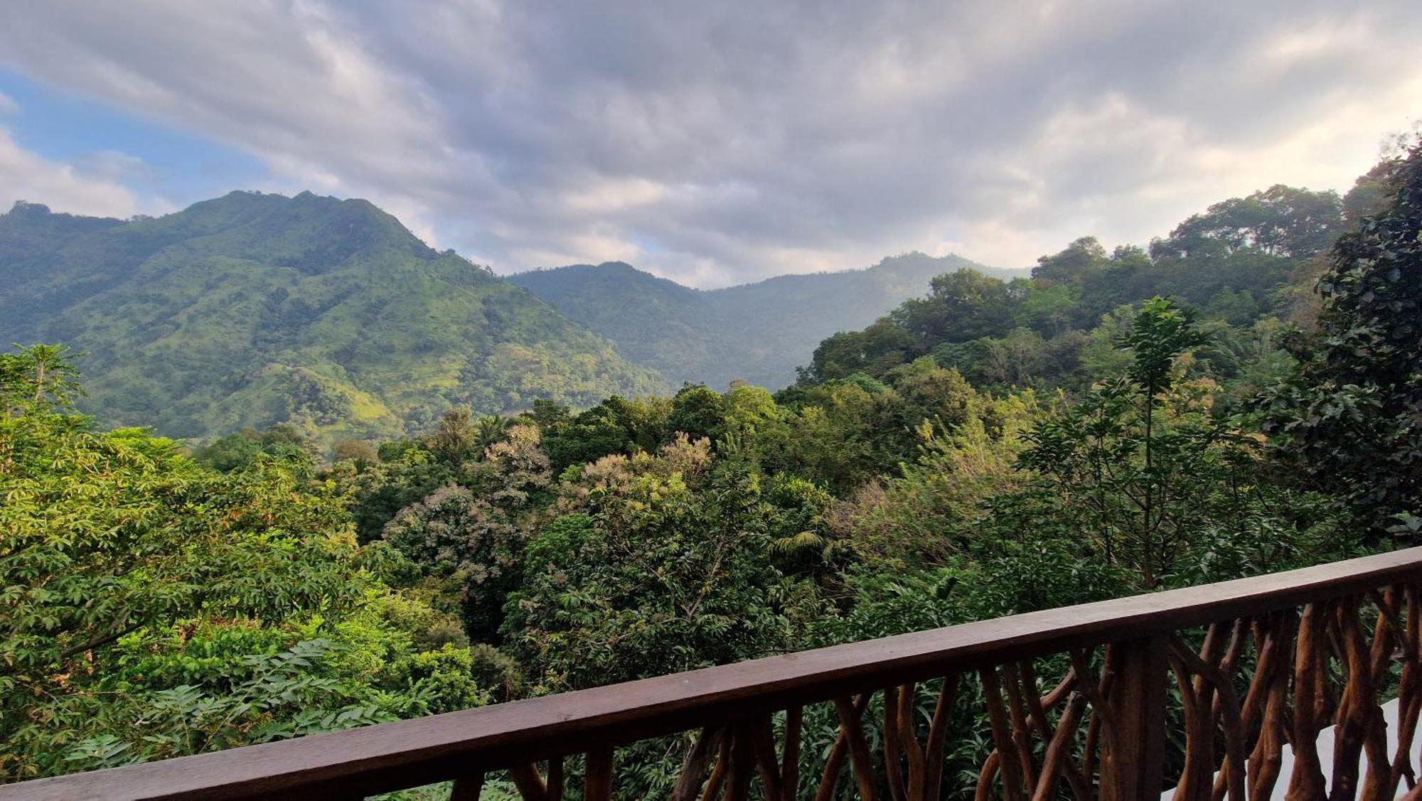 Ella Wild Waterfall Inn Dış mekan fotoğraf